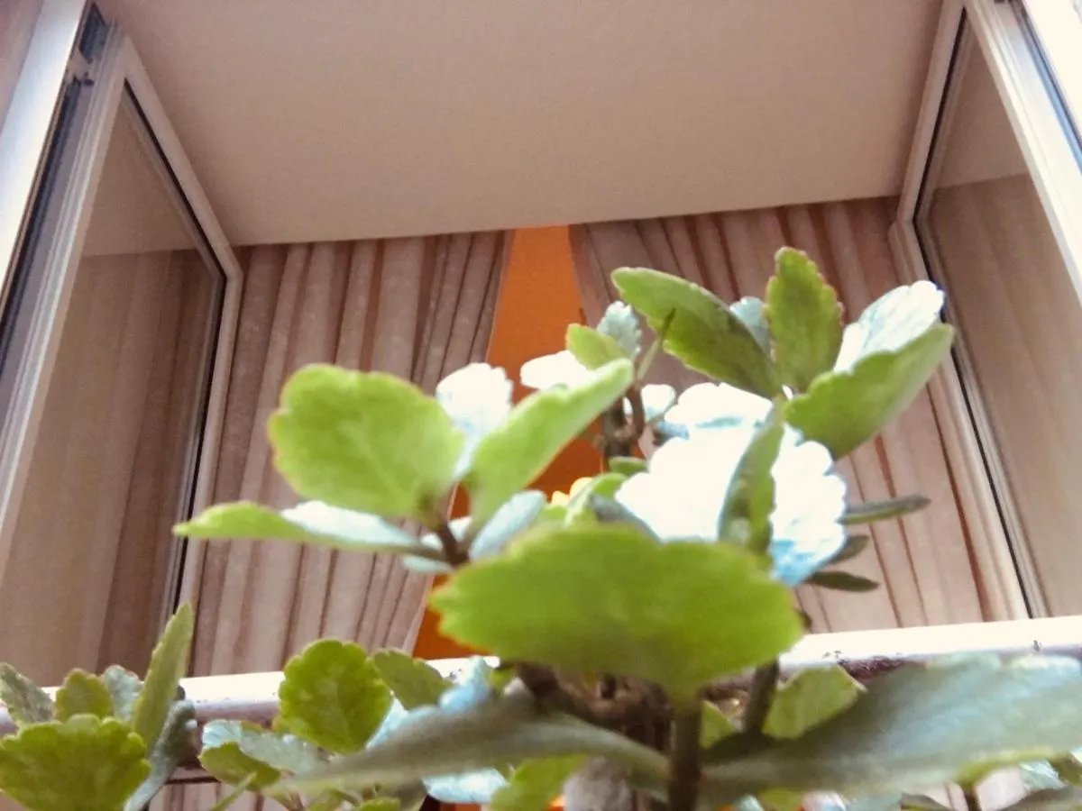 Guest house B&B Alloggio Maria Naples